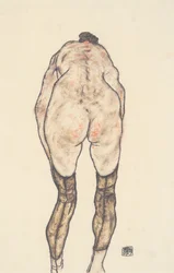 Nu féminin de dos